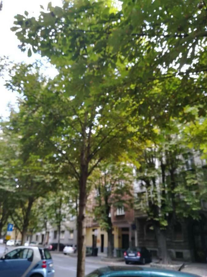 Apartment Dreno *